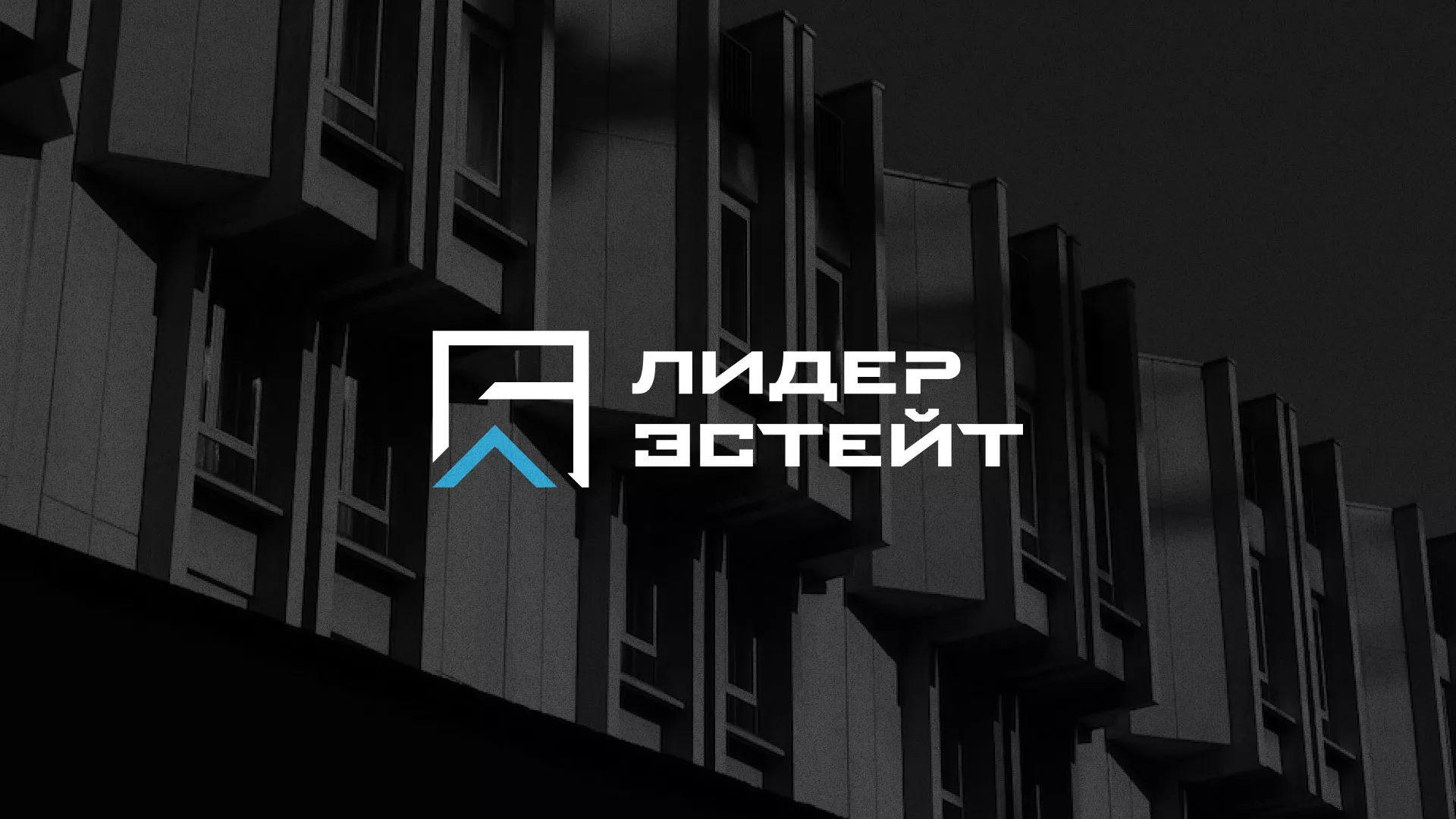 Разработка логотипа агентства недвижимости «Лидер Эстейт» в Пошехонье